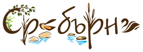 srebarna lake banner 510