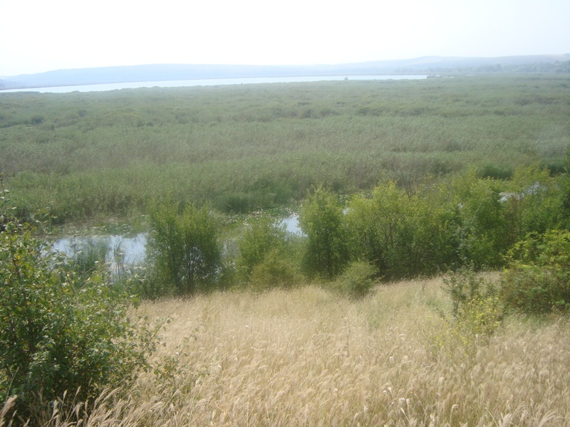 Галерия 041f195d8b3c16486f67718b4bf9efec.jpg