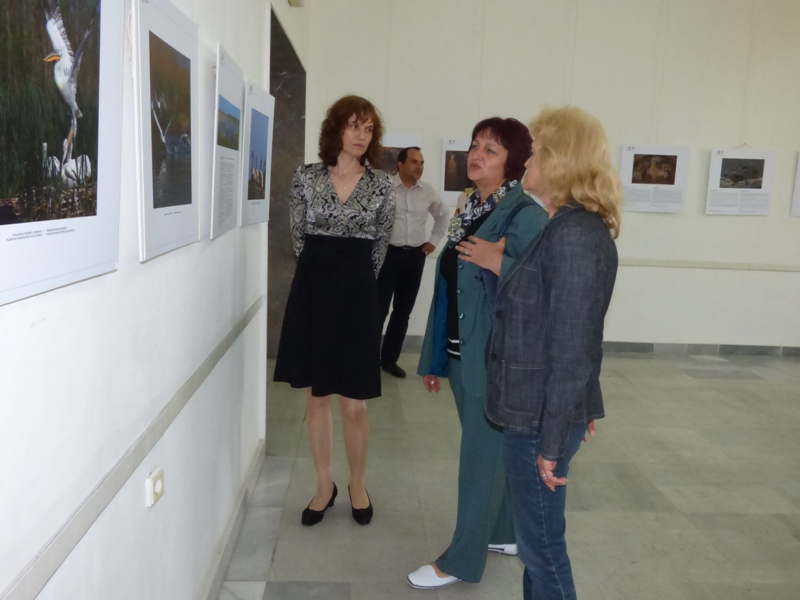 Галерия 71745d17438dd2262362f9db16f034ca.jpg