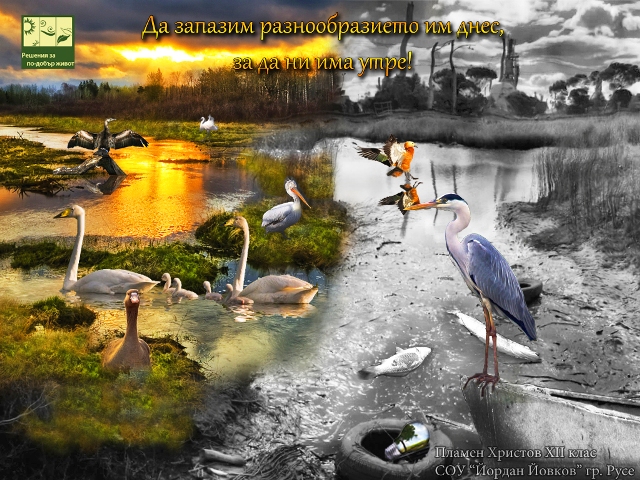 Галерия 71ec210851048906b1e83e431ee906ee.jpg