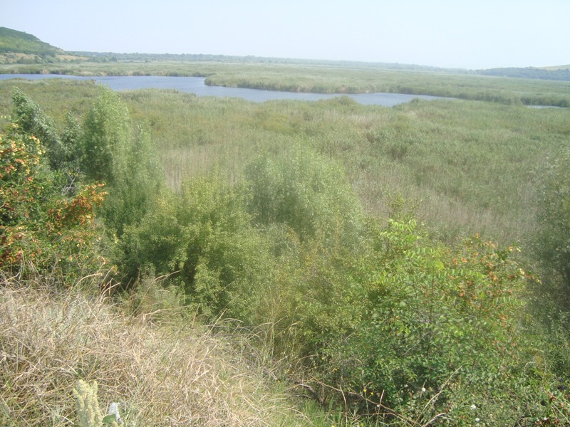 Галерия 90641119a9d9a8553a1996407399baa9.jpg