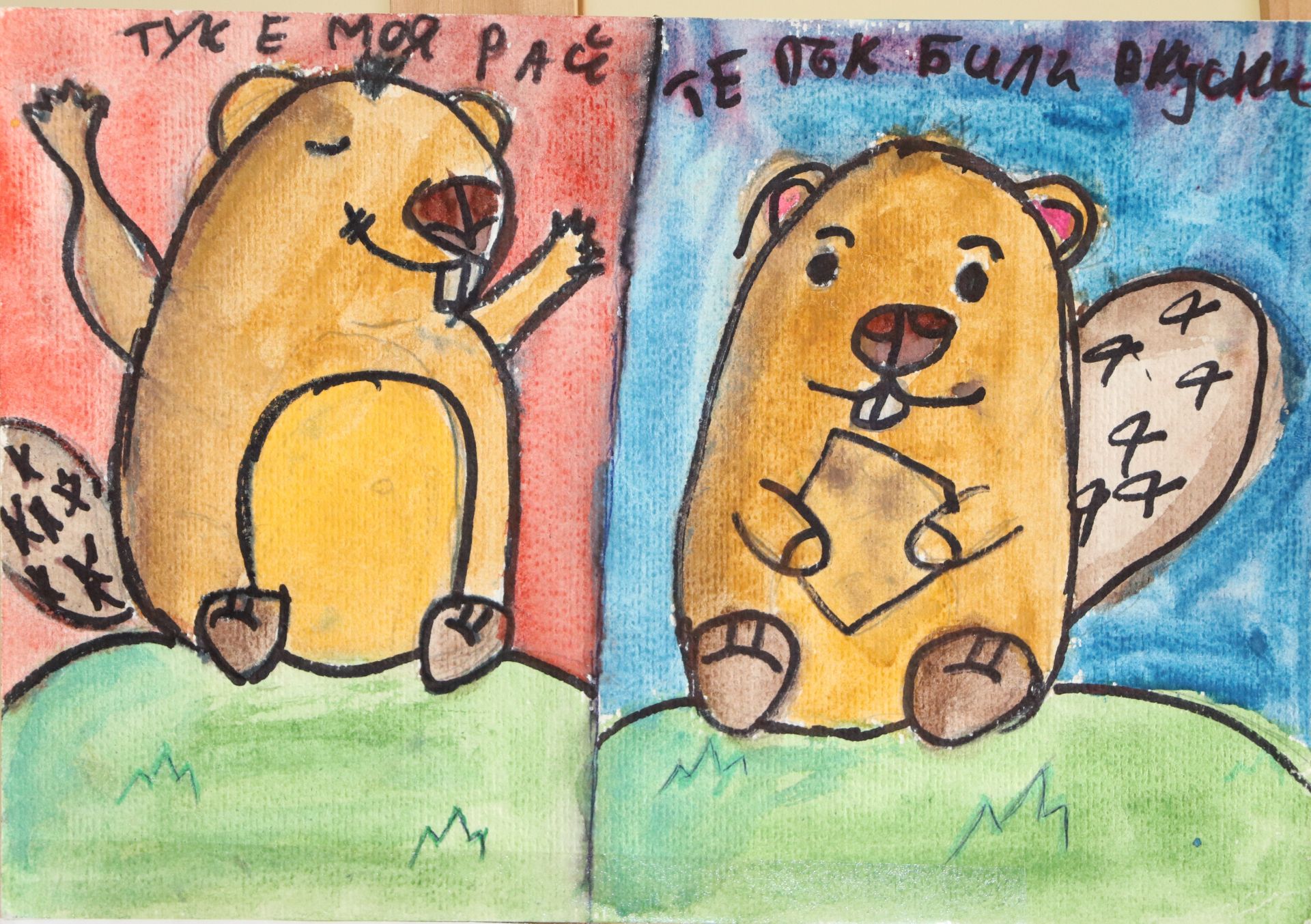 Галерия bdcc934bebc6593a1ff9081fce0d0a2c.jpg