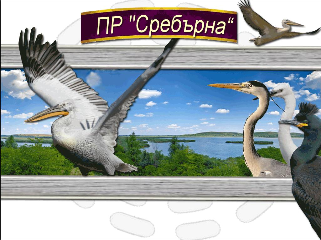 c1576c3ad91e6f652a8eb020a61770b4.jpg