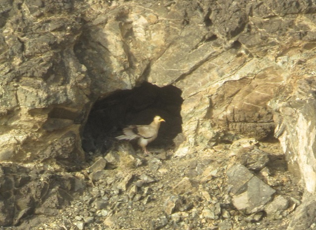 Галерия d30916dd21afb026fafe6892b63739b7.jpg