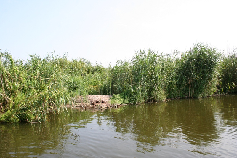 Галерия e07f036f005d88926fbe605a4200923a.jpg
